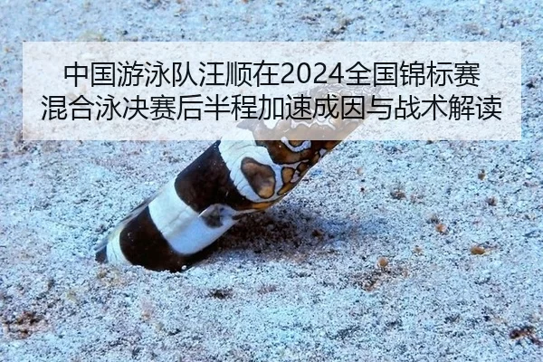 中国游泳队汪顺在2024全国锦标赛混合泳决赛后半程加速成因与战术解读