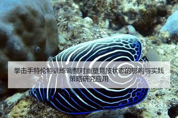 拳击手特伦特训练调整对重塑竞技状态的影响与实践策略研究应用