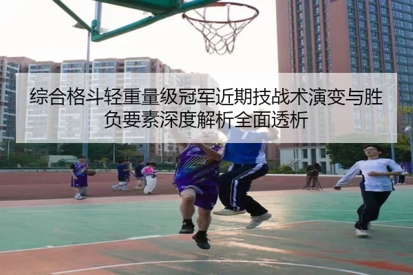 综合格斗轻重量级冠军近期技战术演变与胜负要素深度解析全面透析