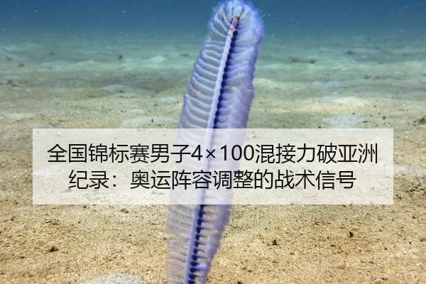 quan-guo-jin-biao-sai-nan-zi-hun-jie-li-po-ya-zhou-ji-lu-ao-yun-zhen-rong-tiao-zheng-de-zhan-shu-xin-hao-3-420.jpg
